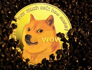 Dogecoin (DOGE) Nedir ? Nasıl Çalışır ?