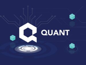 Quant Coin (QNT) Nedir ? Nasıl Çalışır ?