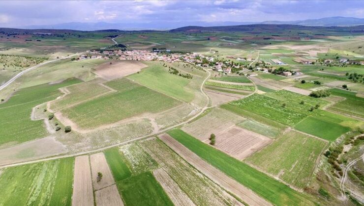 İntikali yapılmamış tarım arazileri için yeni karar! Mirasçılık belgesi talep edilecek