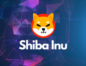 Shiba Inu Coin (SHIB) Nedir ? Nasıl Çalışır ?