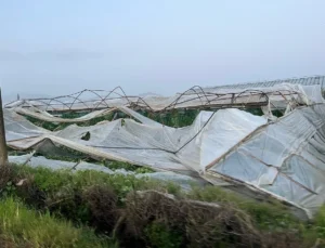 Antalya’da Şiddetli Yağmur ve Hortum Felaketi: 3 Kişi Yaralı